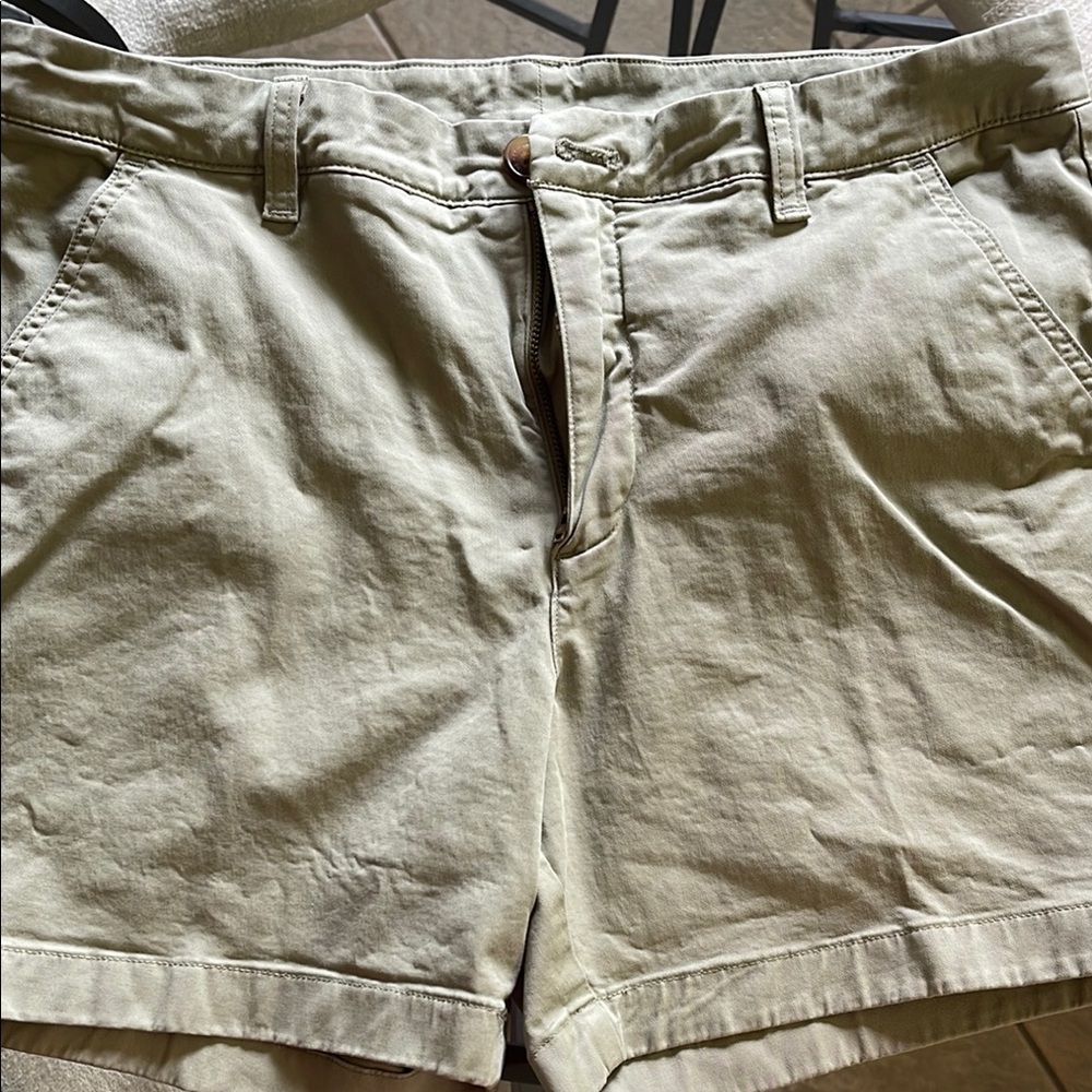 Chubbies “Heritage Washed Light Green” Flat Front Shorts Lightweight Casual